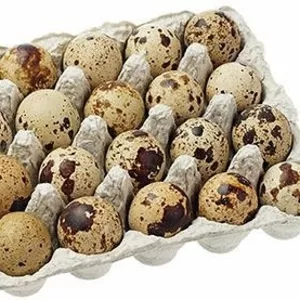 Экологичные и самые лучшие ПЕРЕПЕЛИНЫЕ яйца