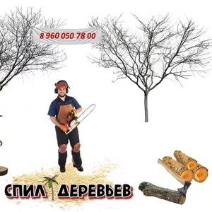 Вырубка деревьев,  кустов в Казани | Уборка участков