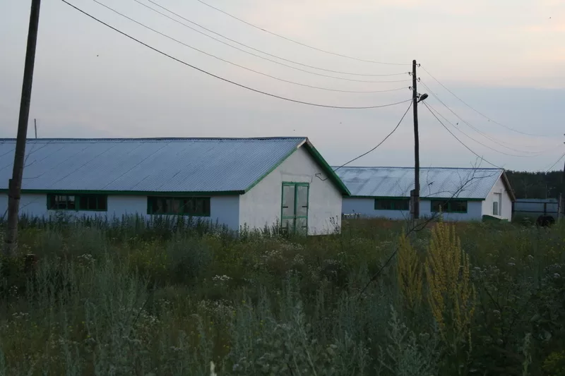 продажа земли в спасском районе,  срочно) Болгар